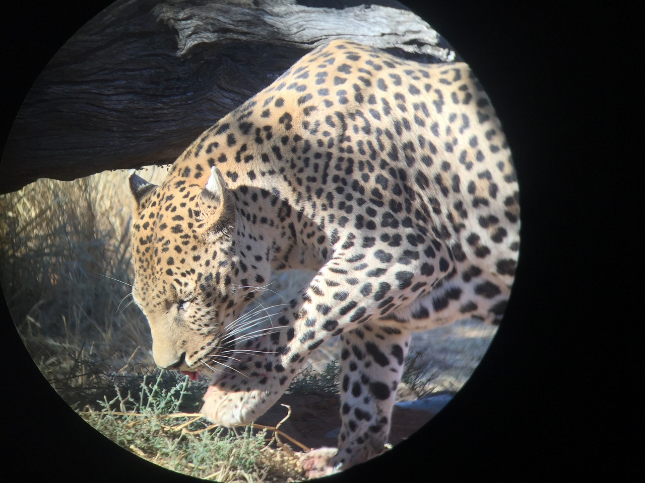 [9186] 2016_06_23_15_29_50_Africa_iPhone_6_IMG_7883_00468.jpg