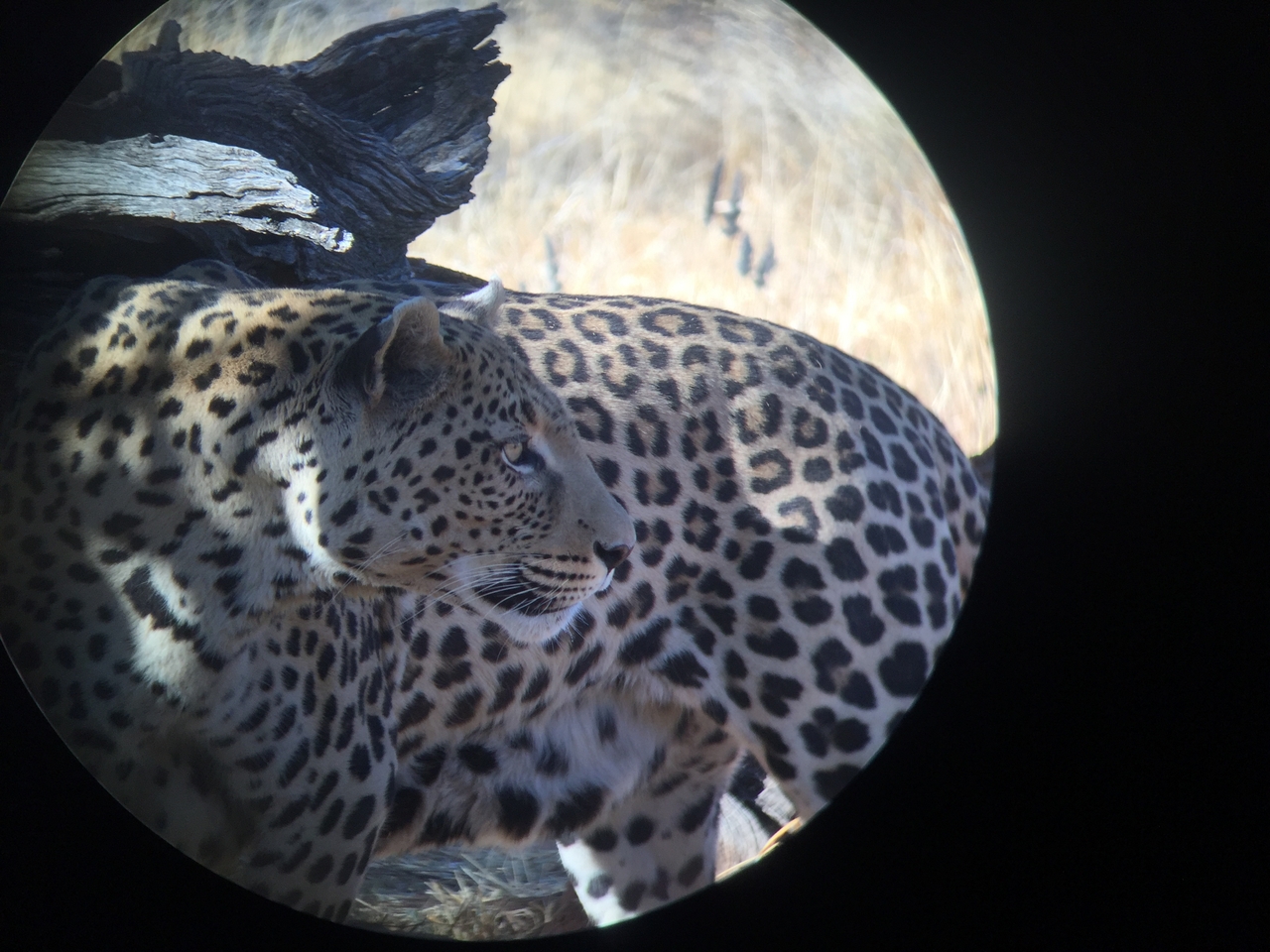 [9191] 2016_06_23_15_29_53_Africa_iPhone_6_IMG_7885_02811.jpg