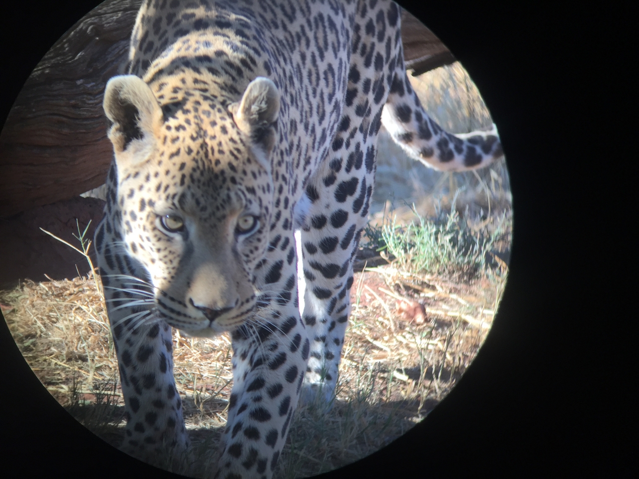 [9198] 2016_06_23_15_30_07_Africa_iPhone_6_IMG_7889_00474.jpg