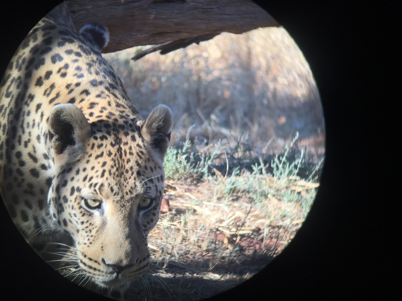 [9200] 2016_06_23_15_30_08_Africa_iPhone_6_IMG_7890_00475.jpg