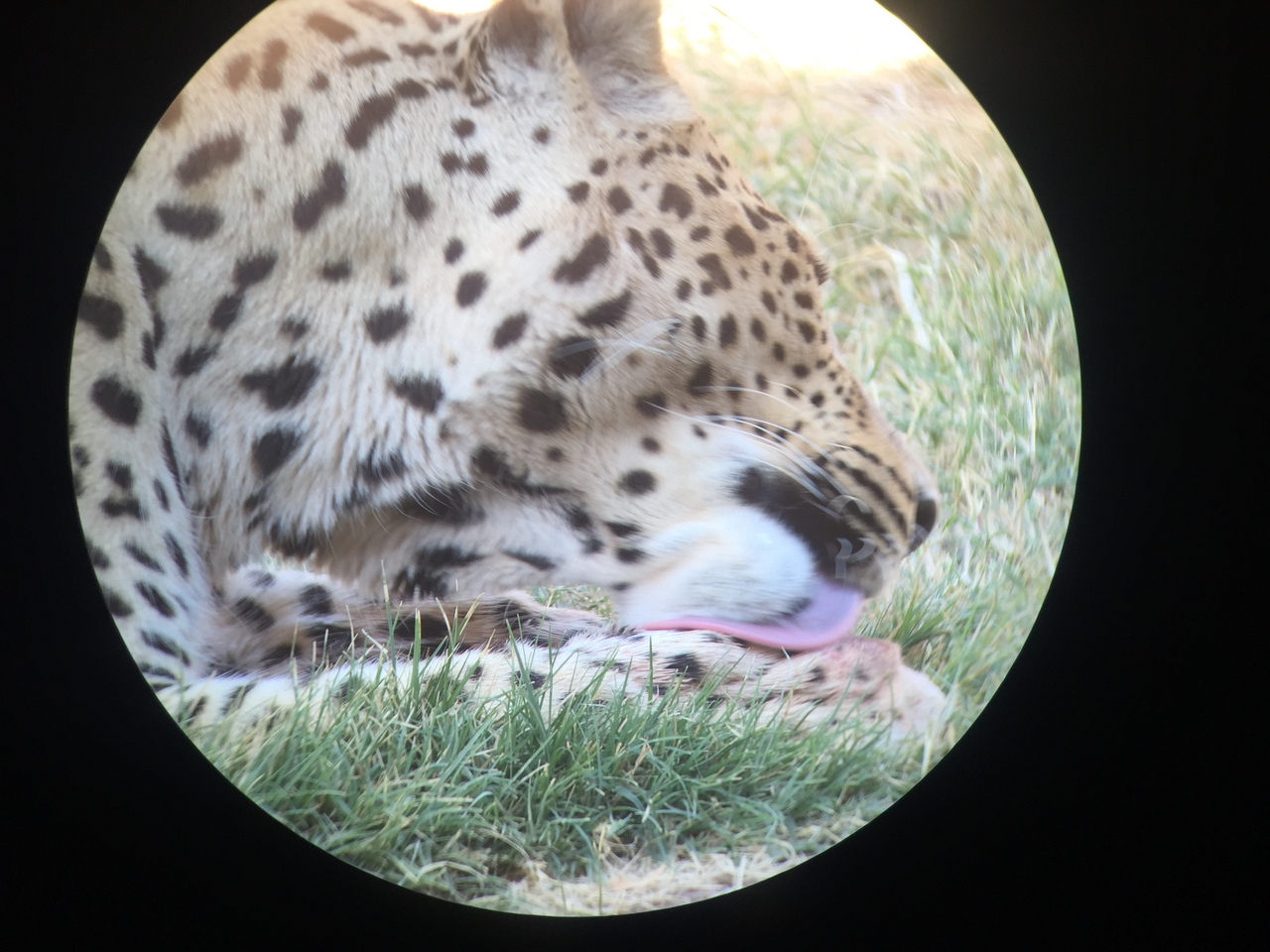 [9210] 2016_06_23_15_30_45_Africa_iPhone_6_IMG_7895_00480.jpg