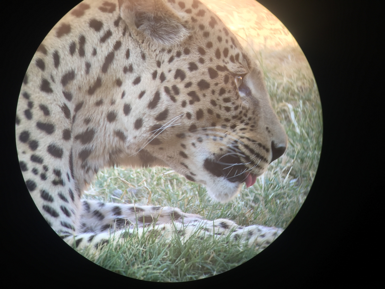 [9215] 2016_06_23_15_30_59_Africa_iPhone_6_IMG_7897_02823.jpg