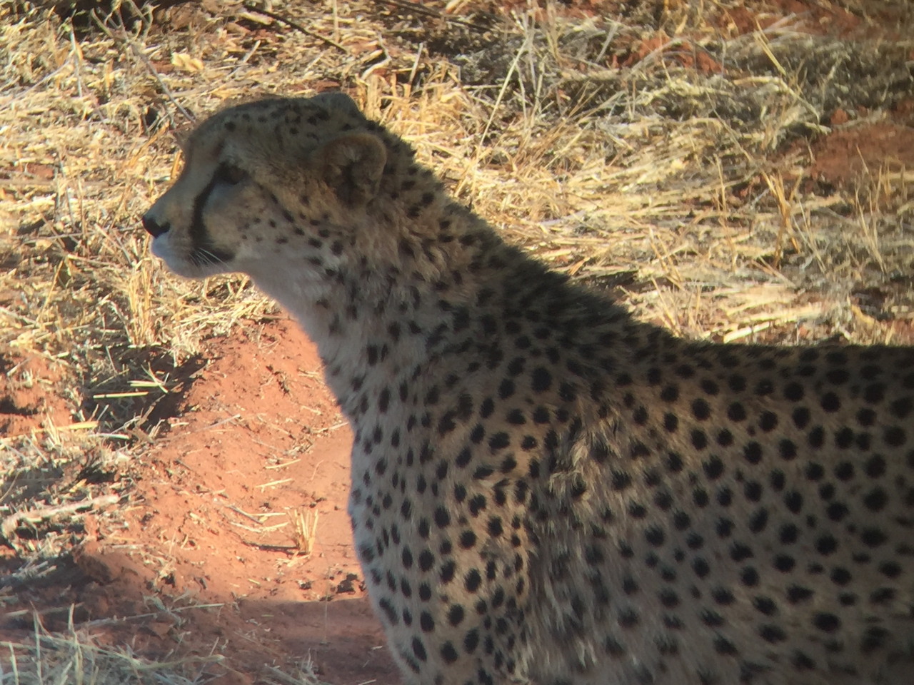 [9227] 2016_06_23_15_44_10_Africa_iPhone_6_IMG_7904_02829.jpg