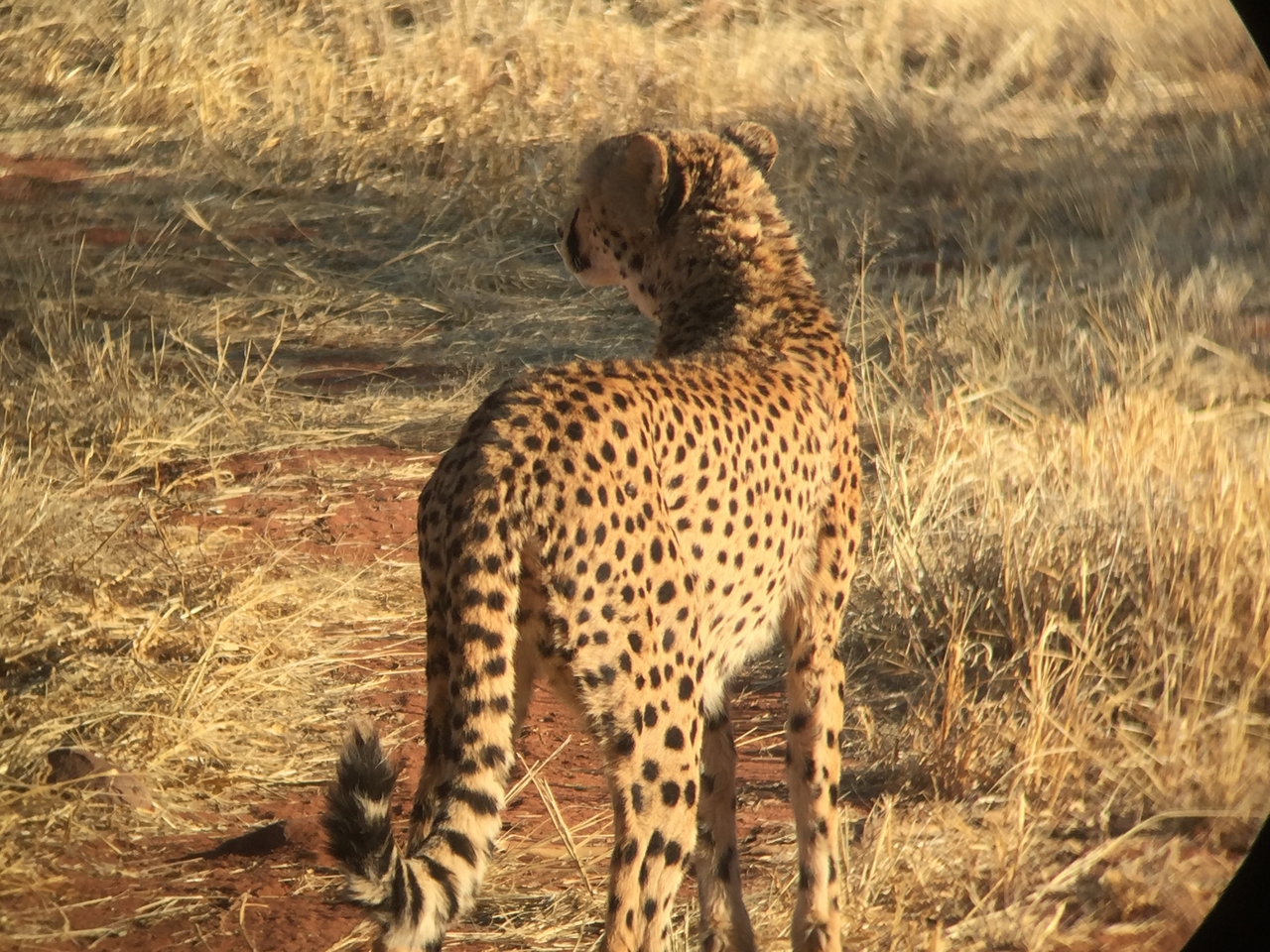 [9233] 2016_06_23_15_48_10_Africa_iPhone_6_IMG_7907_02832.jpg