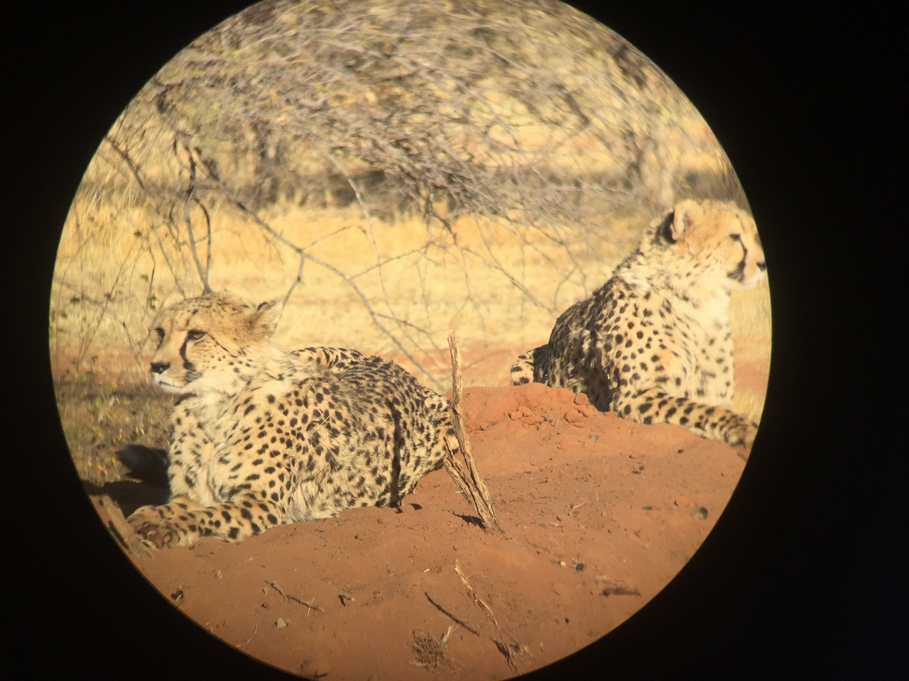 [9252] 2016_06_23_15_53_02_Africa_iPhone_6_IMG_7918_00501.jpg