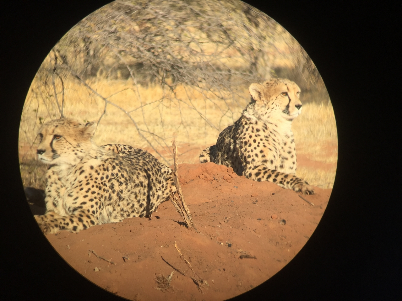 [9254] 2016_06_23_15_53_04_Africa_iPhone_6_IMG_7919_00502.jpg