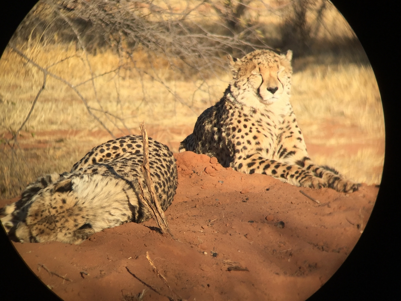 [9298] 2016_06_23_16_09_16_Africa_iPhone_6_IMG_7942_00524.jpg