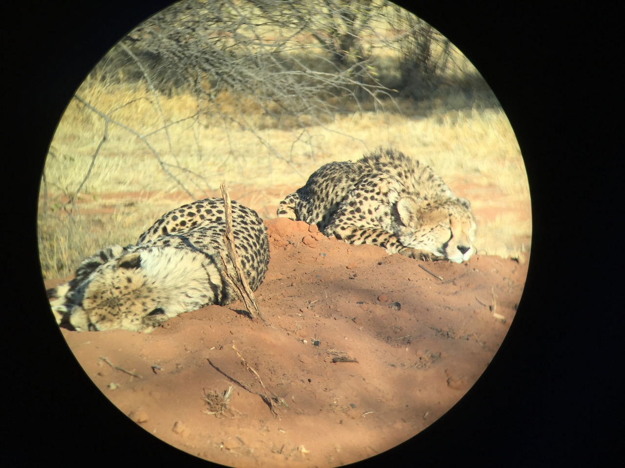 [9305] 2016_06_23_16_11_05_Africa_iPhone_6_IMG_7945_02868.jpg