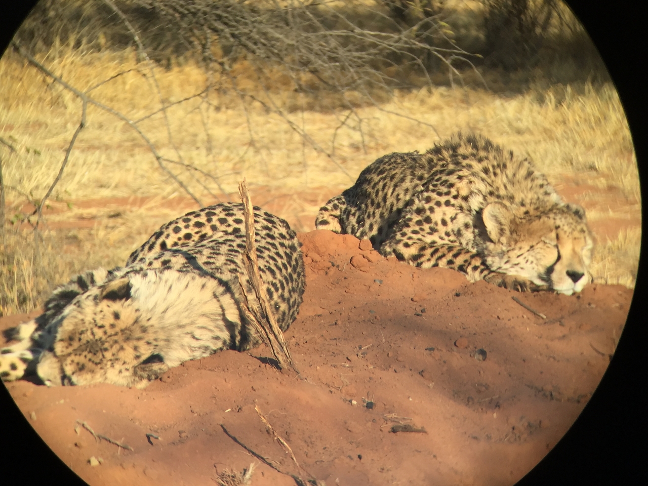 [9306] 2016_06_23_16_11_10_Africa_iPhone_6_IMG_7946_00528.jpg