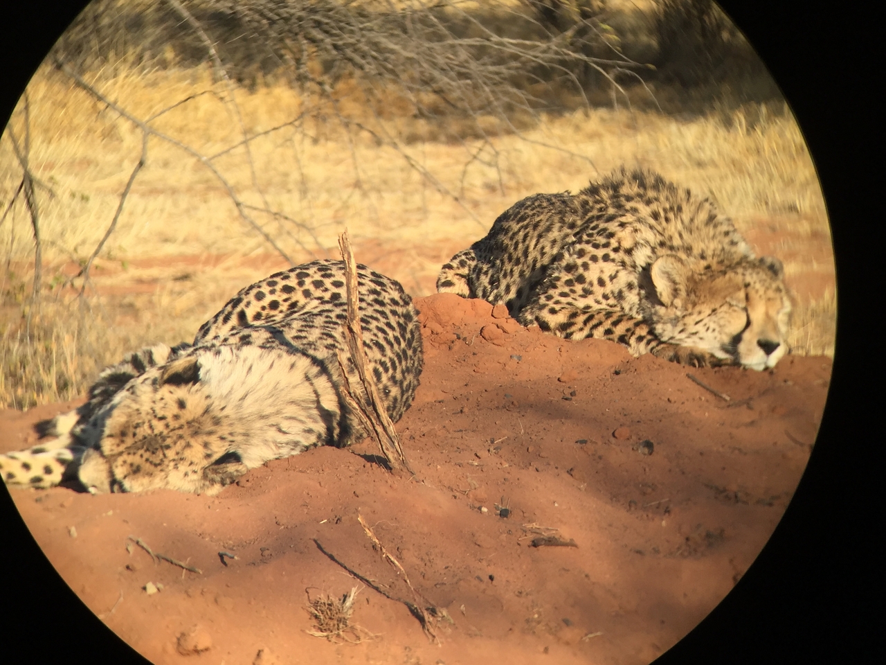 [9315] 2016_06_23_16_11_38_Africa_iPhone_6_IMG_7950_02873.jpg