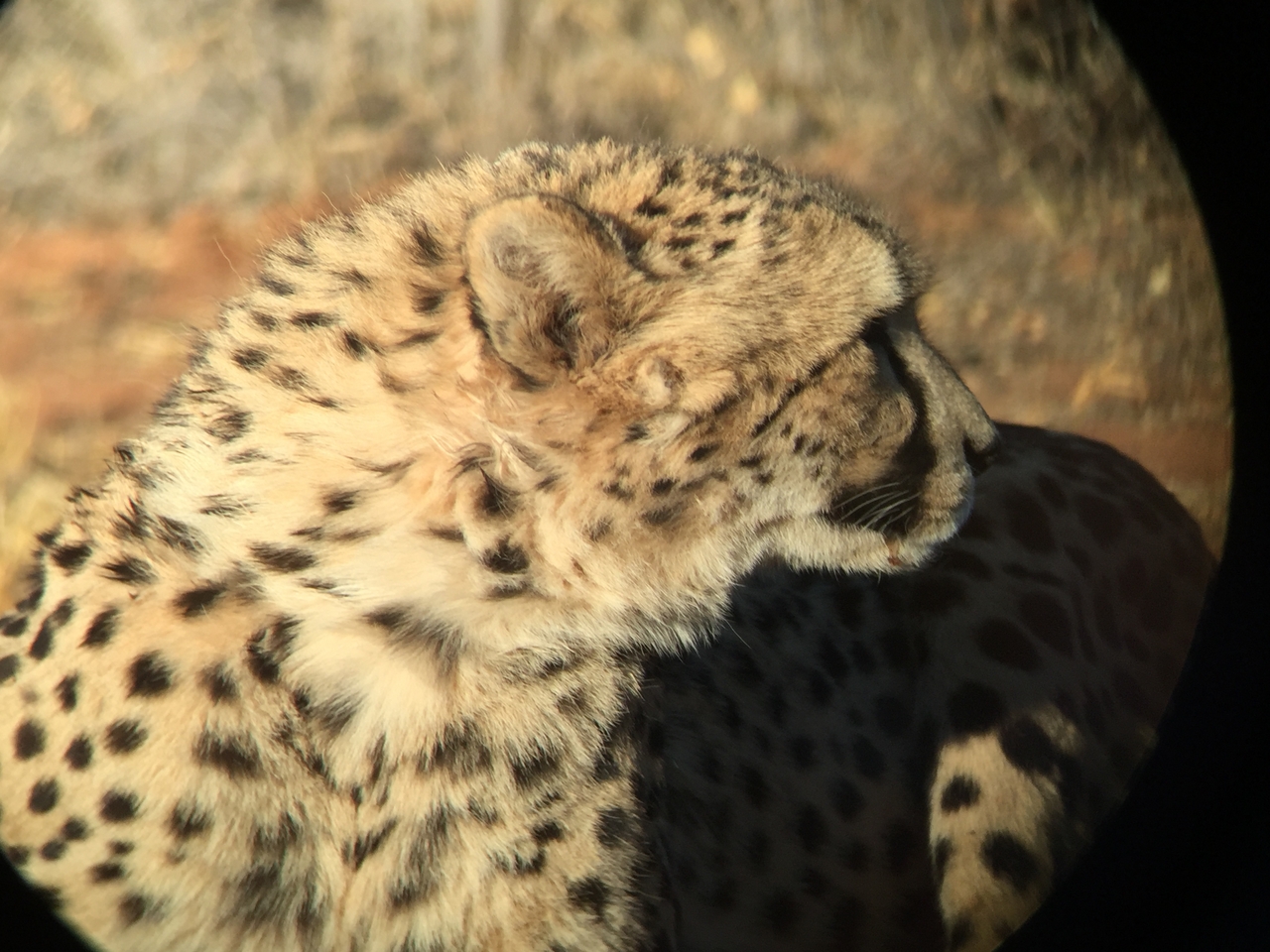 [9332] 2016_06_23_16_13_41_Africa_iPhone_6_IMG_7959_00541.jpg