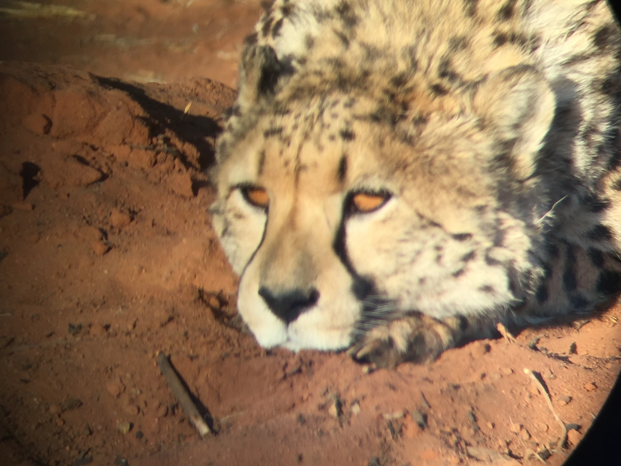 [9337] 2016_06_23_16_13_49_Africa_iPhone_6_IMG_7961_02884.jpg