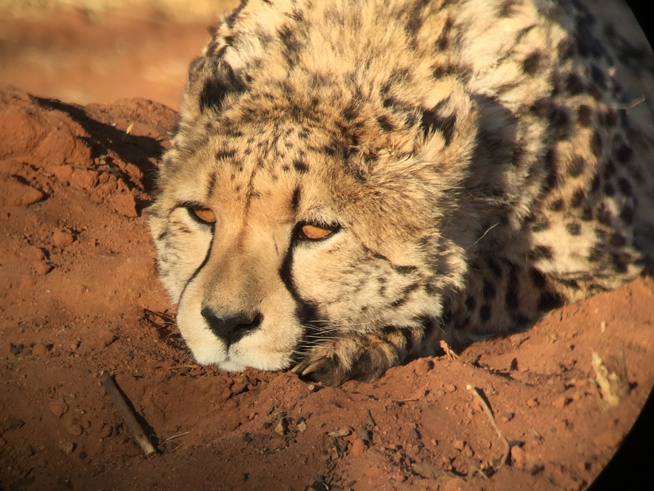 [9356] 2016_06_23_16_14_36_Africa_iPhone_6_IMG_7969_00551.jpg