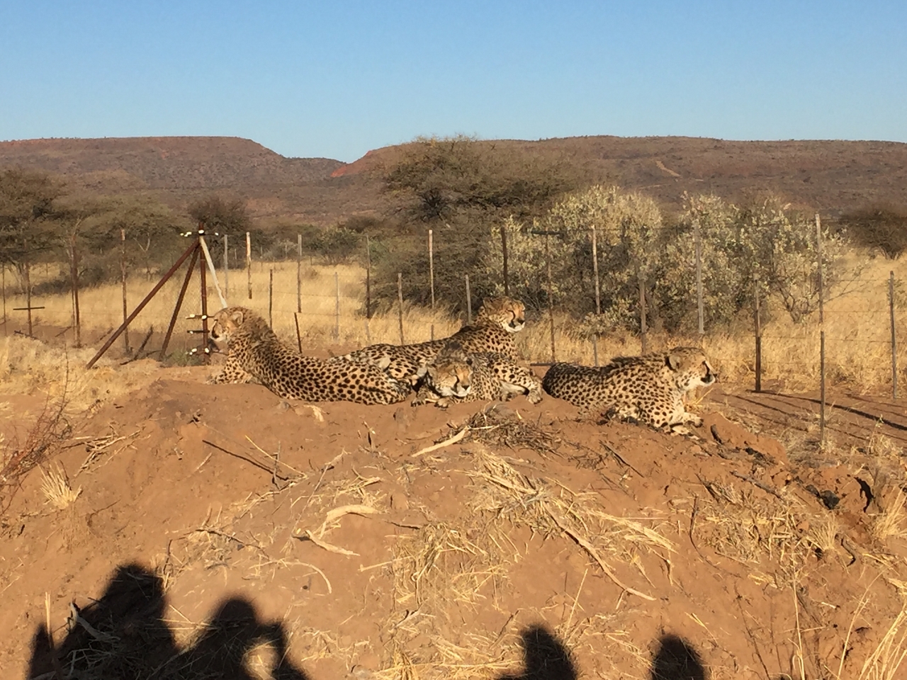 [9375] 2016_06_23_16_19_45_Africa_iPhone_6_IMG_7973_00555.jpg