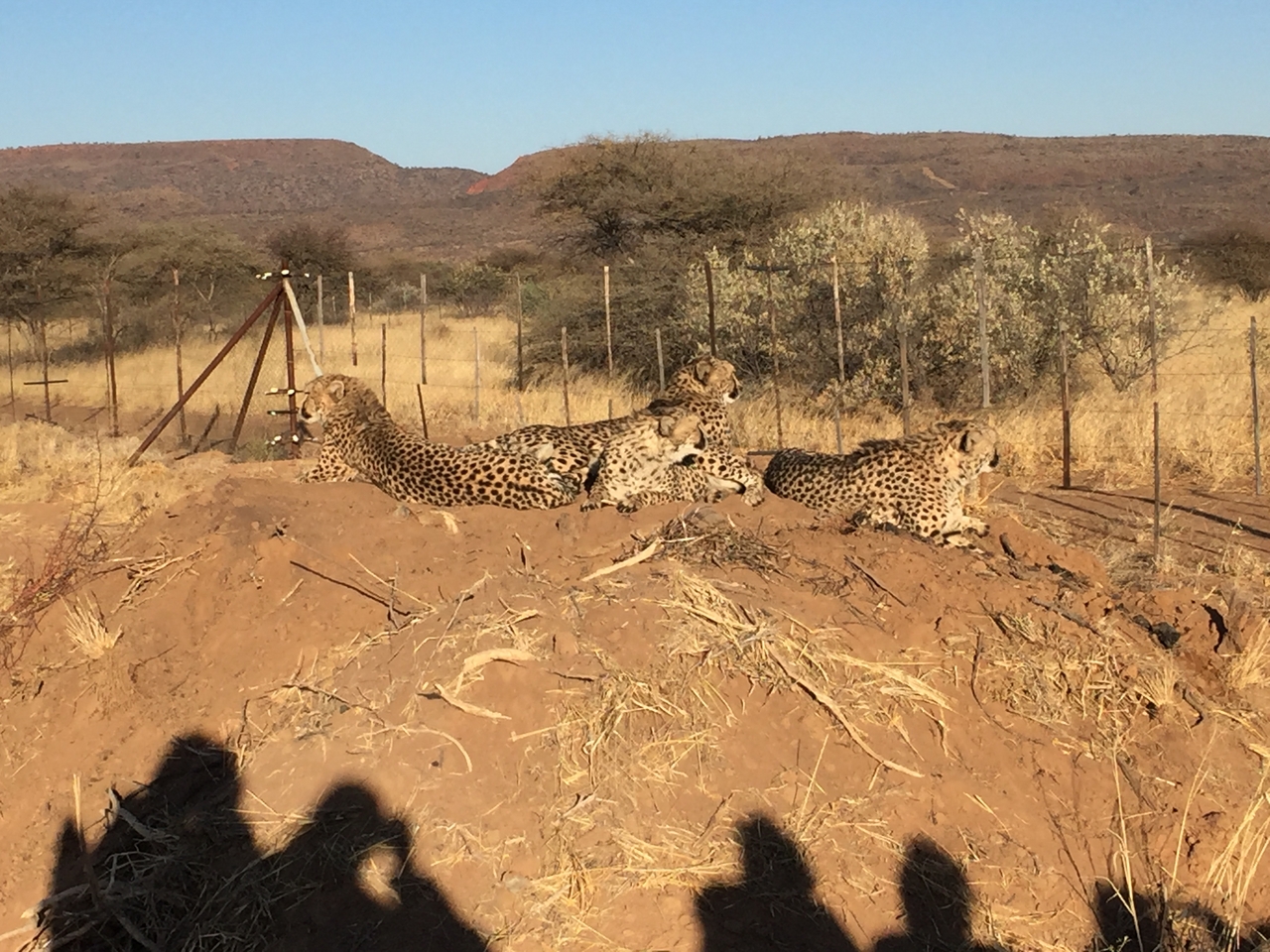 [9377] 2016_06_23_16_19_48_Africa_iPhone_6_IMG_7974_00556.jpg