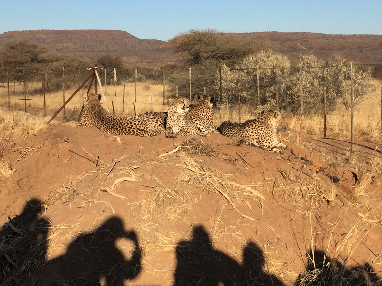 [9384] 2016_06_23_16_20_35_Africa_iPhone_6_IMG_7977_02900.jpg