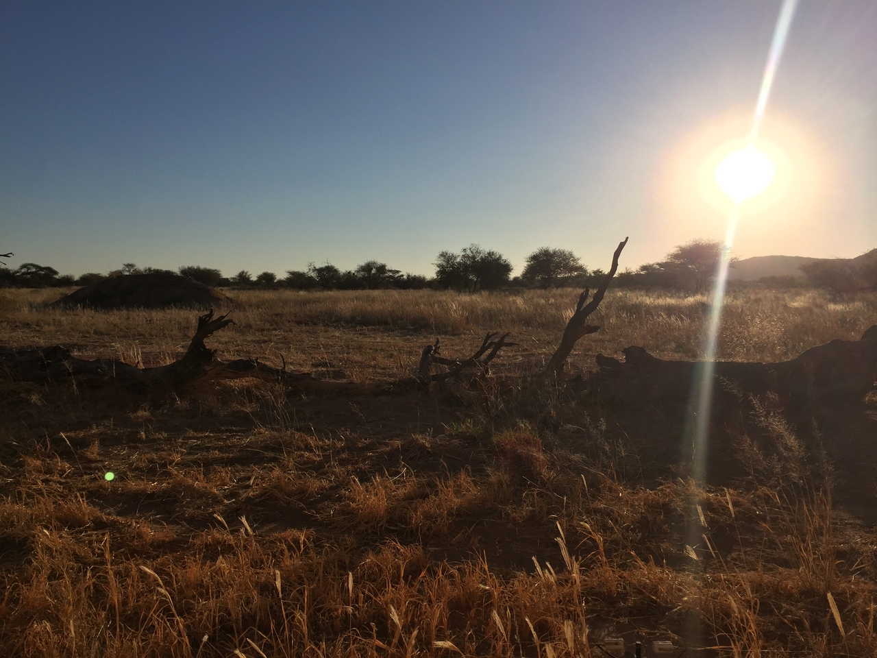 [9395] 2016_06_23_16_39_18_Africa_iPhone_6_IMG_7985_00566.jpg