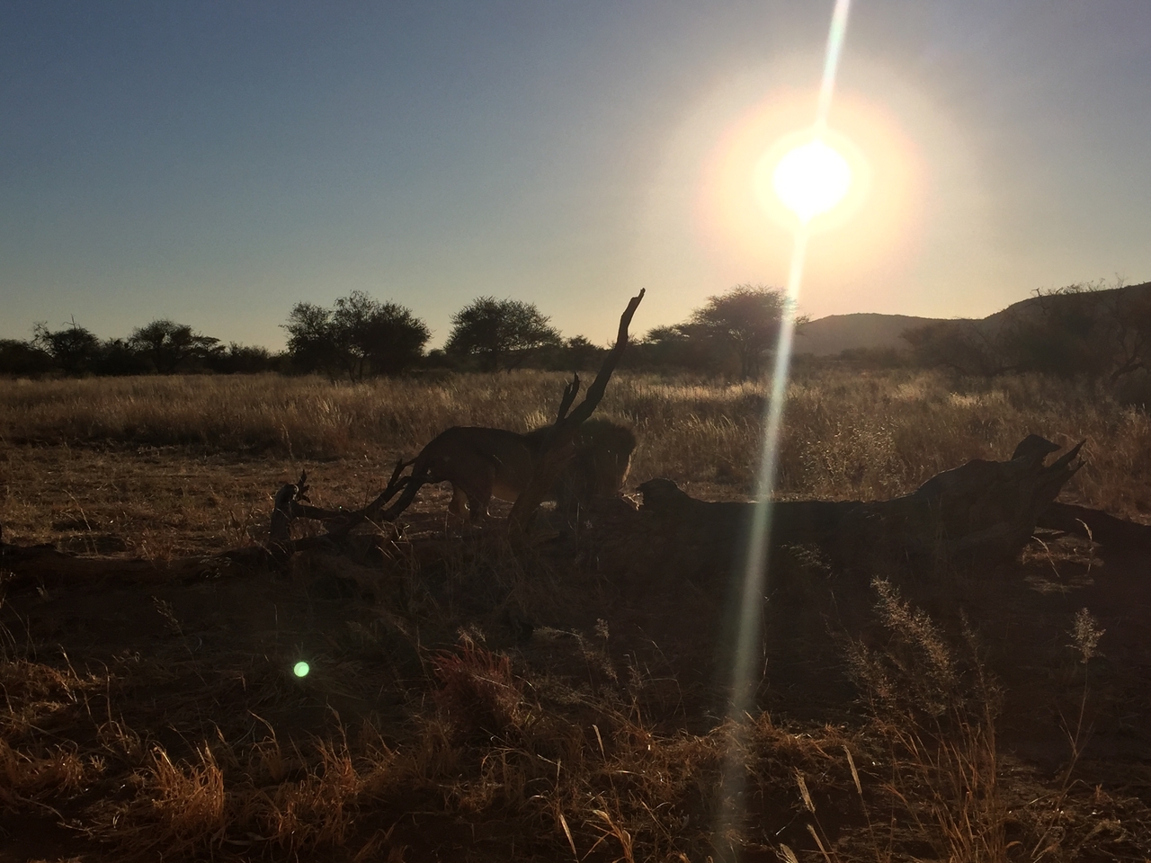 [9401] 2016_06_23_16_39_53_Africa_iPhone_6_IMG_7988_00569.jpg