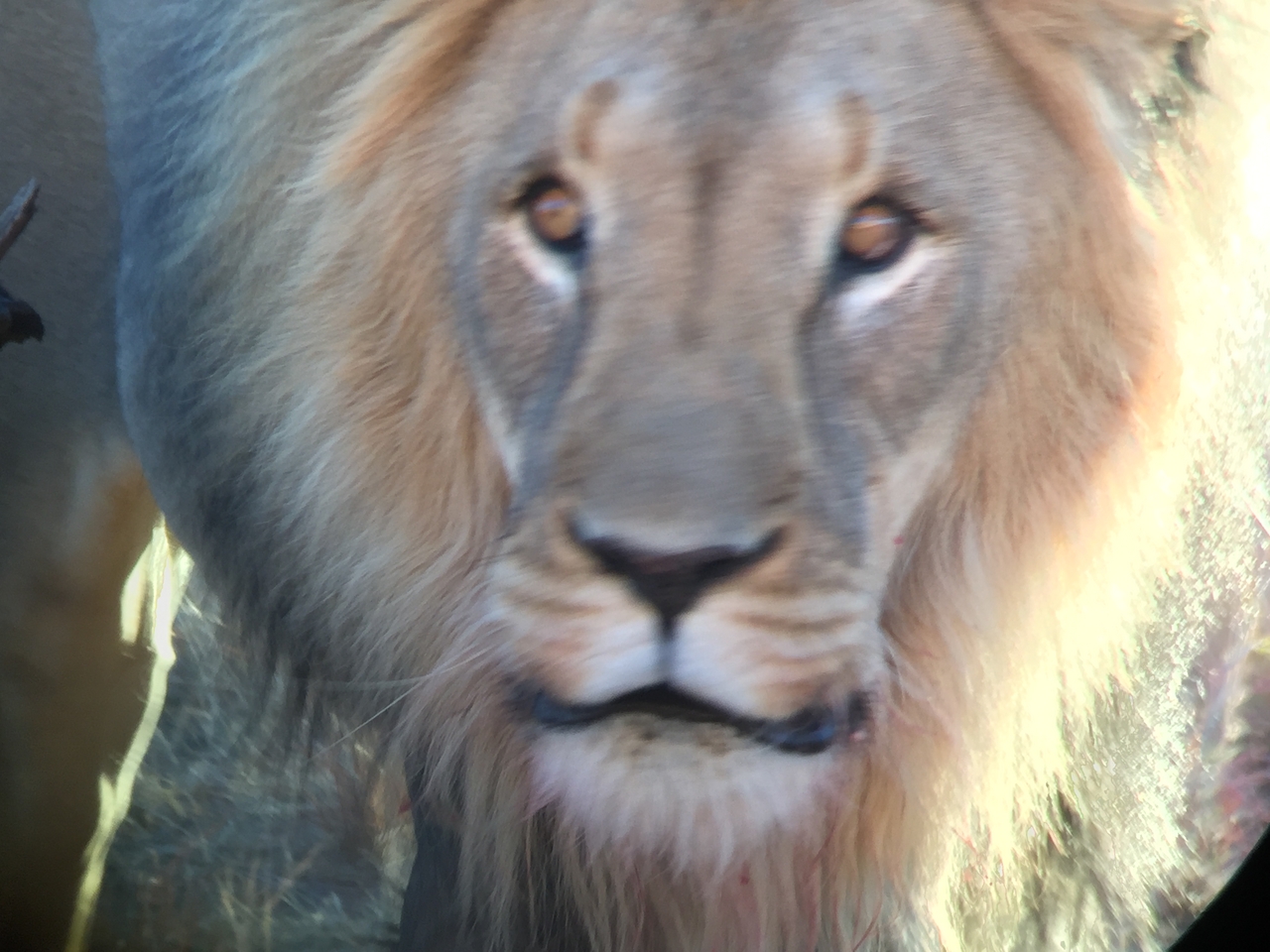 [9467] 2016_06_23_16_52_53_Africa_iPhone_6_IMG_8015_00597.jpg