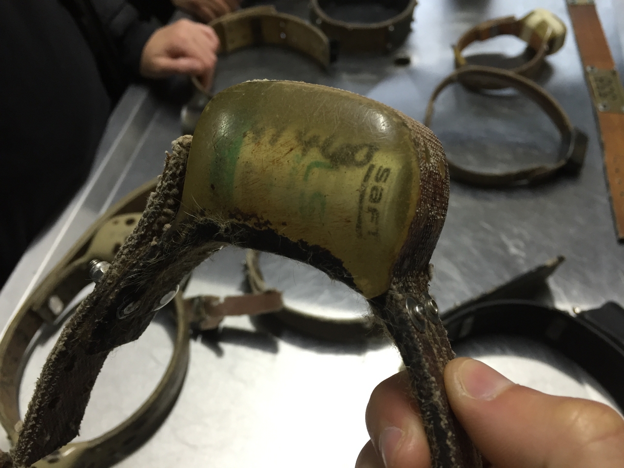 [9493] 2016_06_23_17_18_23_Africa_iPhone_6_IMG_8025_00024.jpg