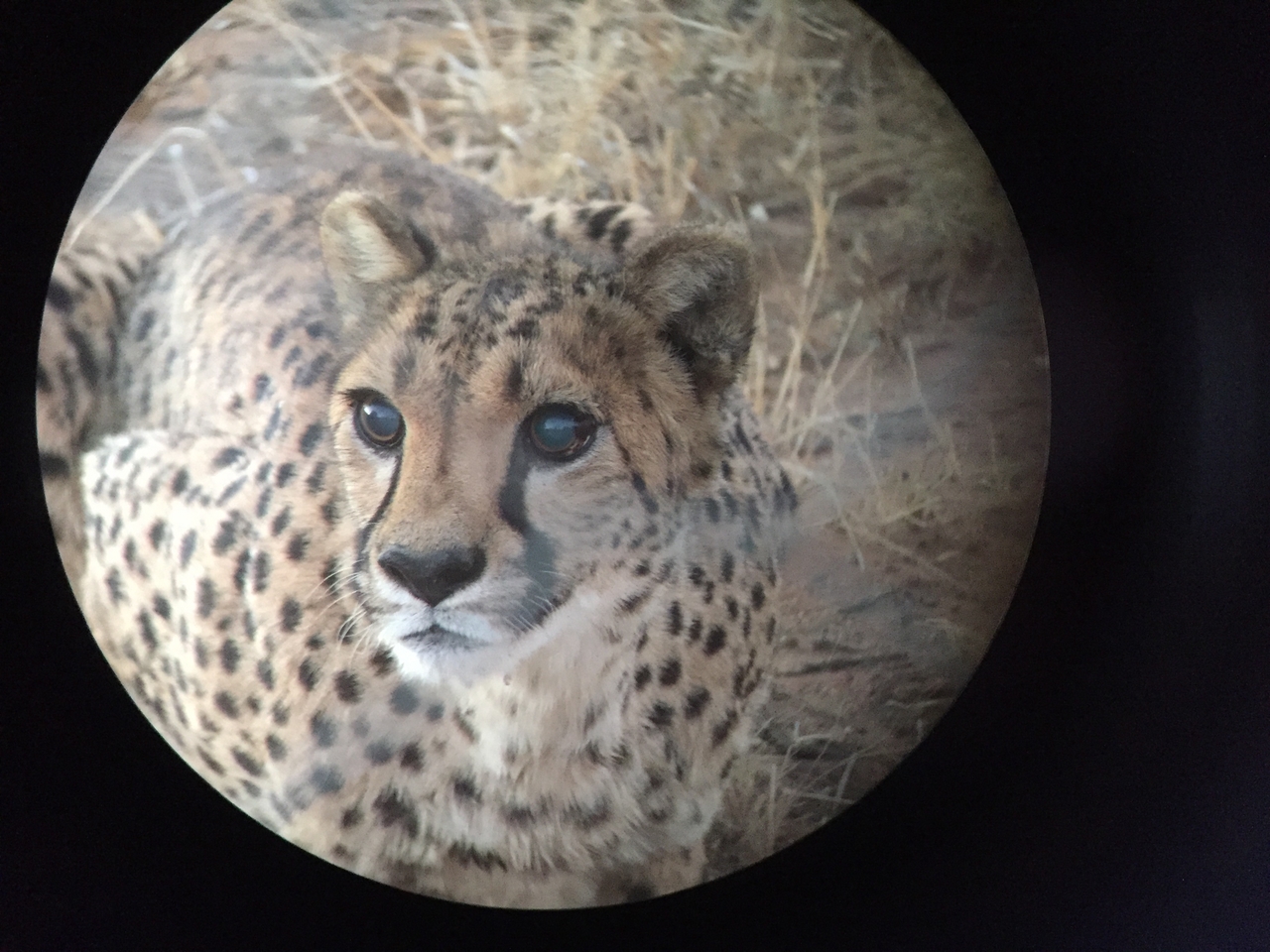 [9547] 2016_06_23_17_29_43_Africa_iPhone_6_IMG_8034_00613.jpg