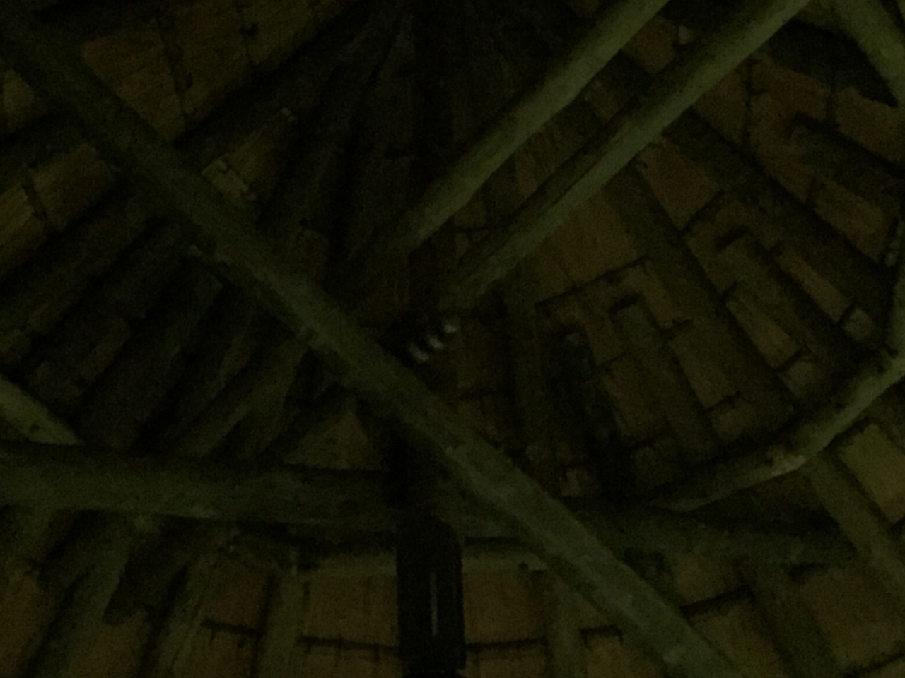 [13703] 2016_06_23_22_50_24_Africa_iPhone_6_IMG_8068_00064.jpg