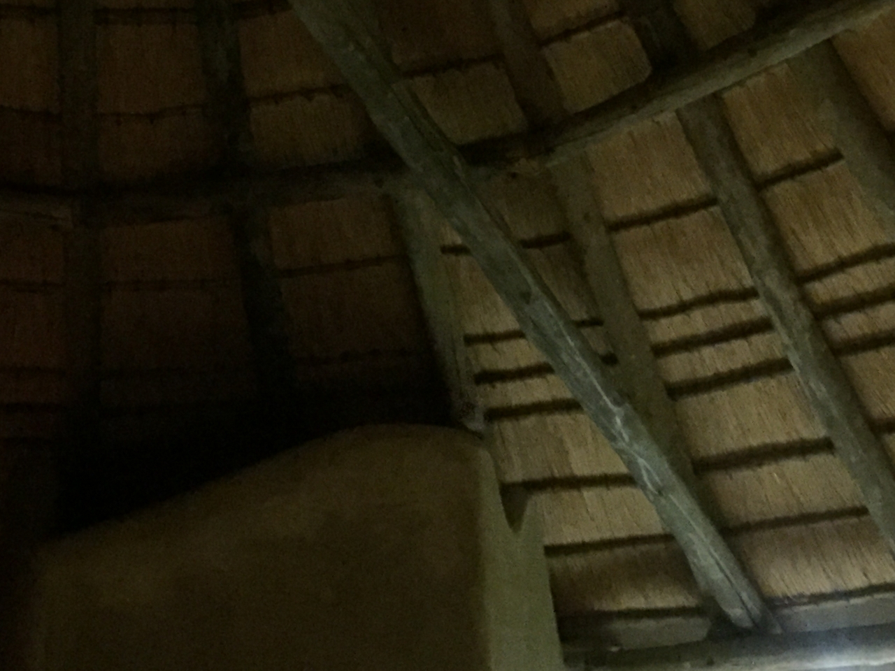 [13709] 2016_06_23_22_50_38_Africa_iPhone_6_IMG_8070_00066.jpg