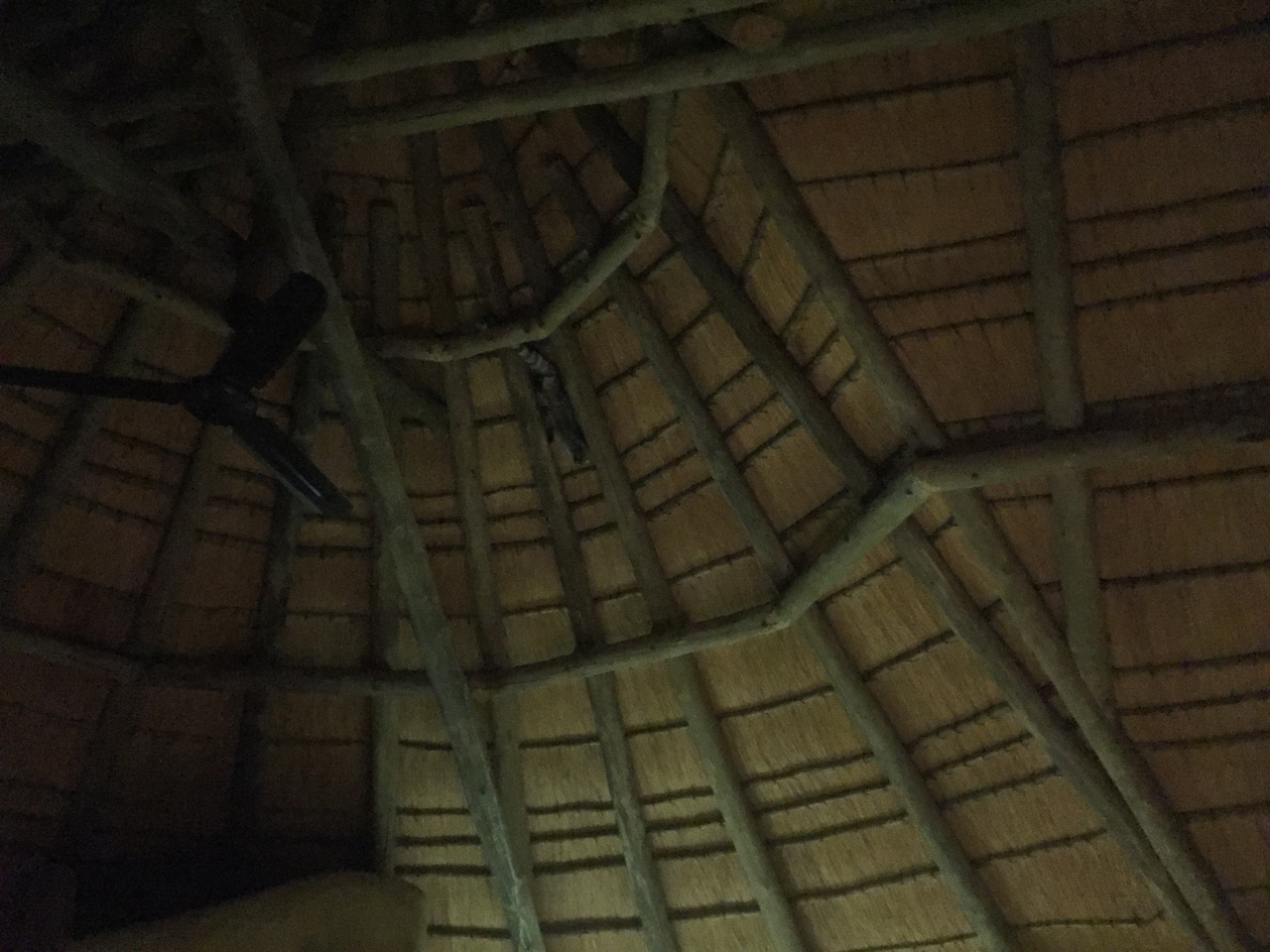 [13719] 2016_06_23_22_53_46_Africa_iPhone_6_IMG_8073_00651.jpg