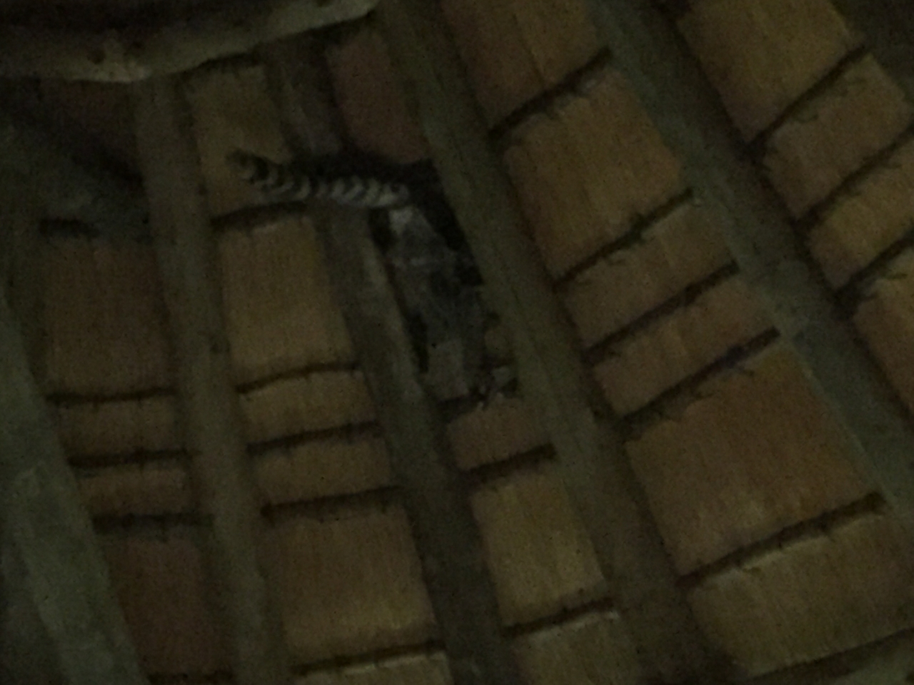 [13725] 2016_06_23_22_53_57_Africa_iPhone_6_IMG_8075_00653.jpg