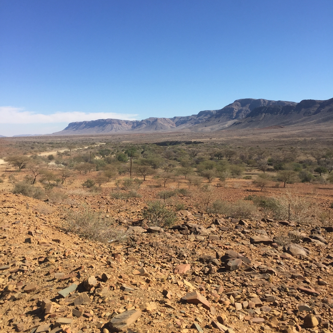 [14066] 2016_06_24_13_04_05_Africa_iPhone_6_IMG_8078_02997.jpg