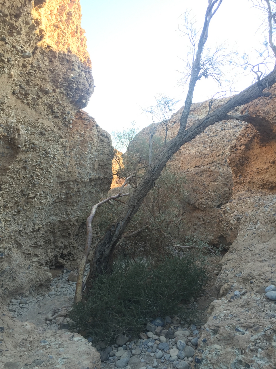 [14147] 2016_06_24_16_36_58_Africa_iPhone_6_IMG_8099_03013.jpg