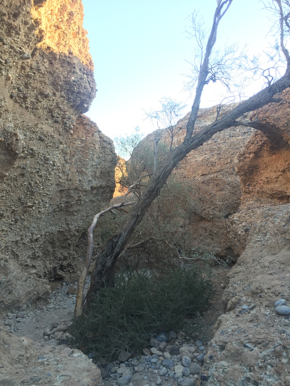 [14149] 2016_06_24_16_37_01_Africa_iPhone_6_IMG_8100_00673.jpg