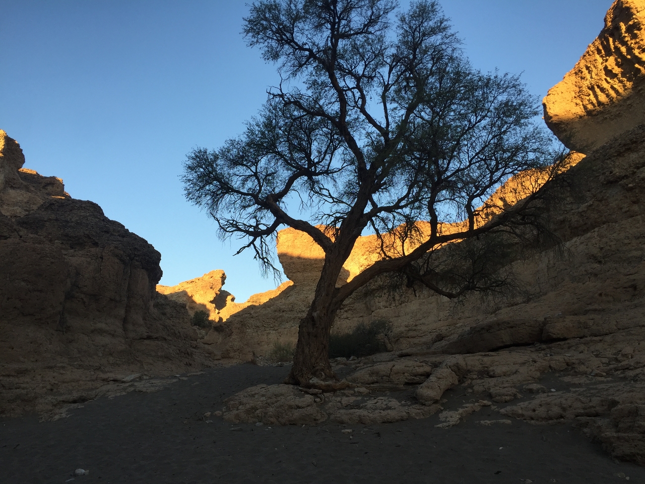 [14202] 2016_06_24_16_46_40_Africa_iPhone_6_IMG_8111_00684.jpg