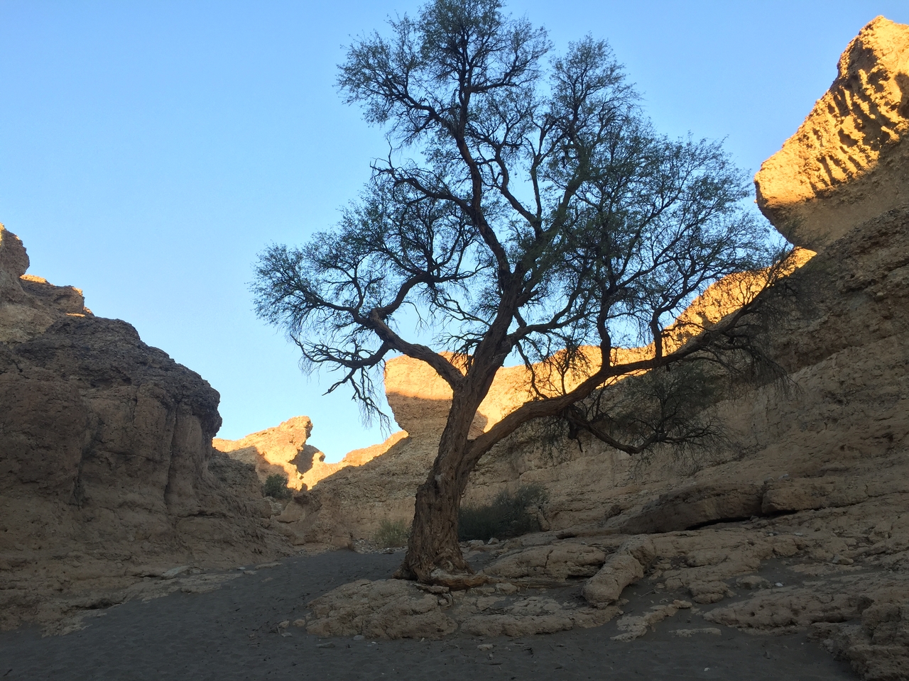 [14206] 2016_06_24_16_46_46_Africa_iPhone_6_IMG_8112_03026.jpg