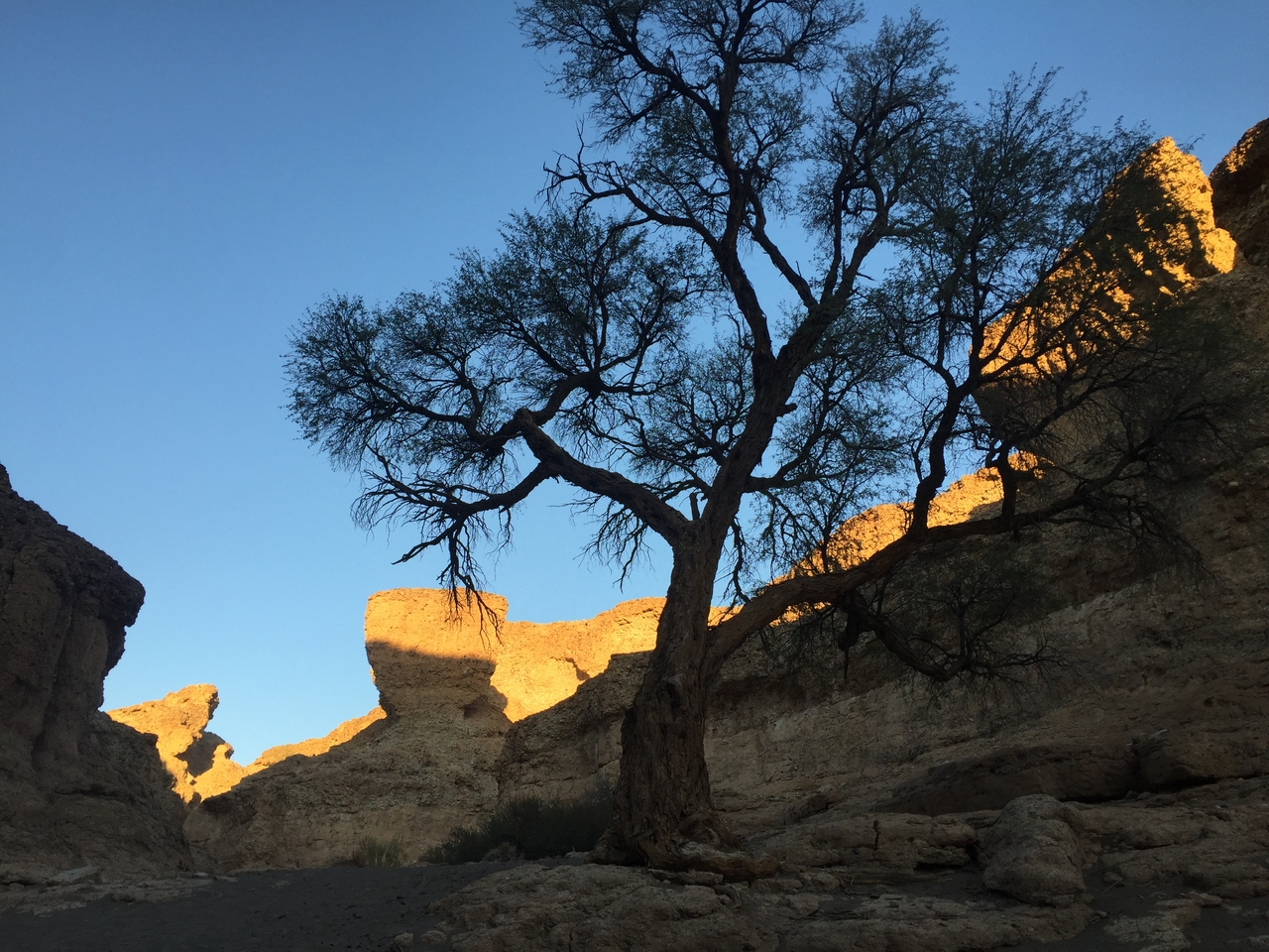 [14209] 2016_06_24_16_46_56_Africa_iPhone_6_IMG_8113_03027.jpg