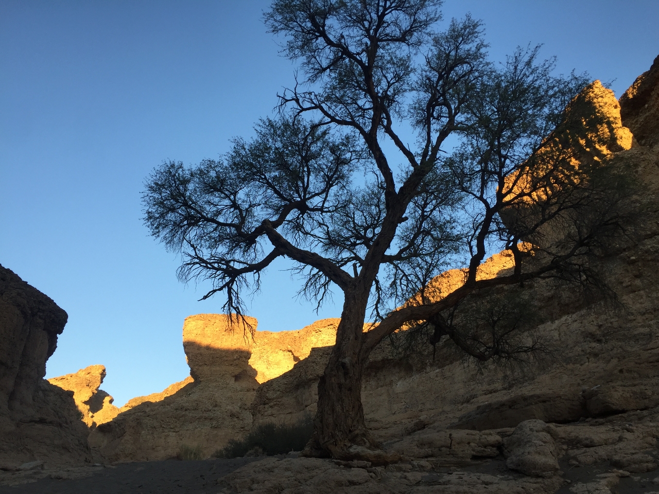 [14210] 2016_06_24_16_47_01_Africa_iPhone_6_IMG_8114_00105.jpg