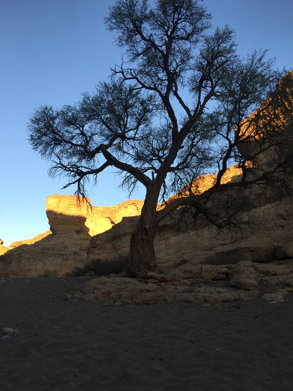 [14213] 2016_06_24_16_47_09_Africa_iPhone_6_IMG_8115_00106.jpg