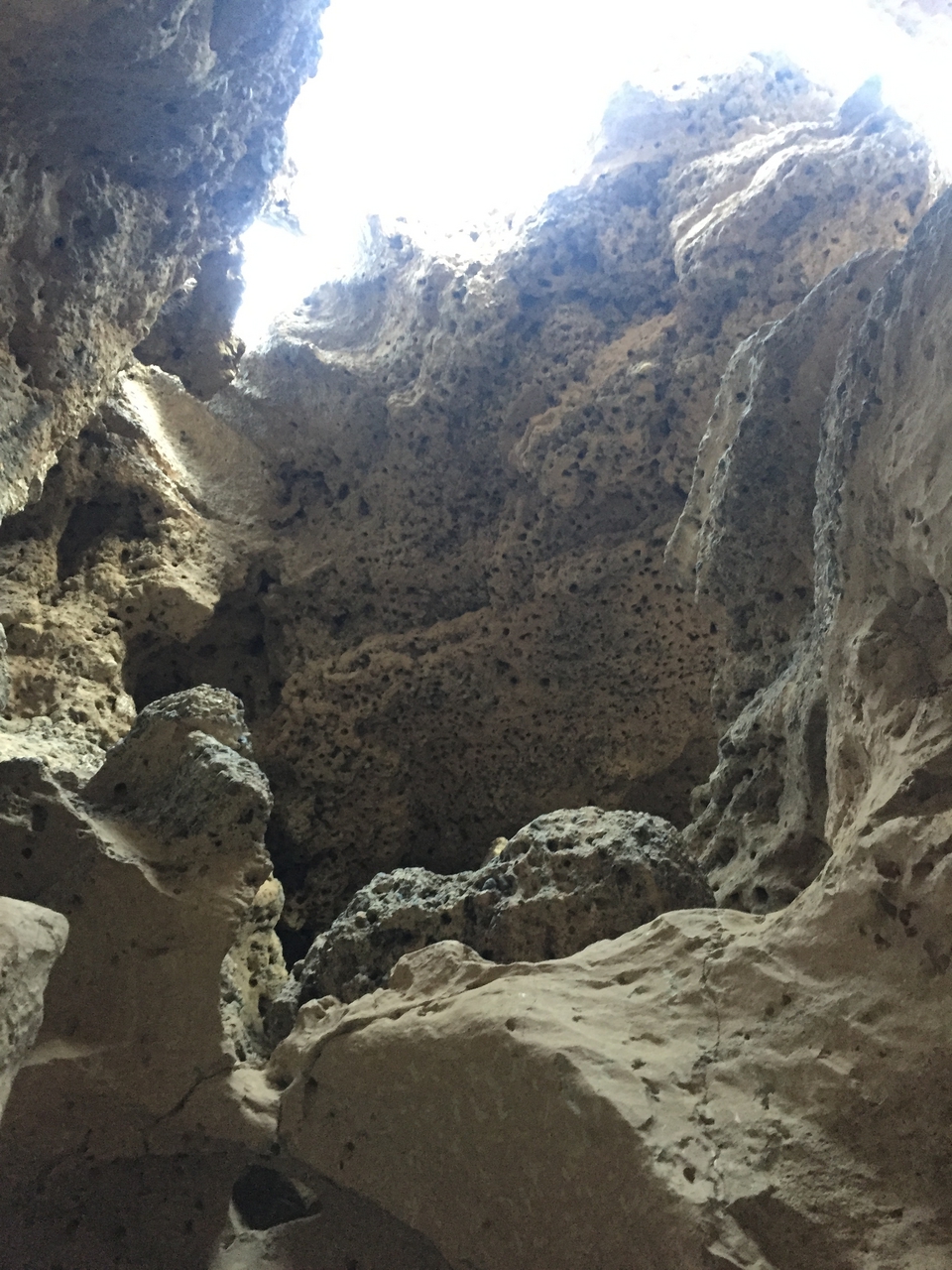 [14260] 2016_06_24_17_01_21_Africa_iPhone_6_IMG_8126_00117.jpg