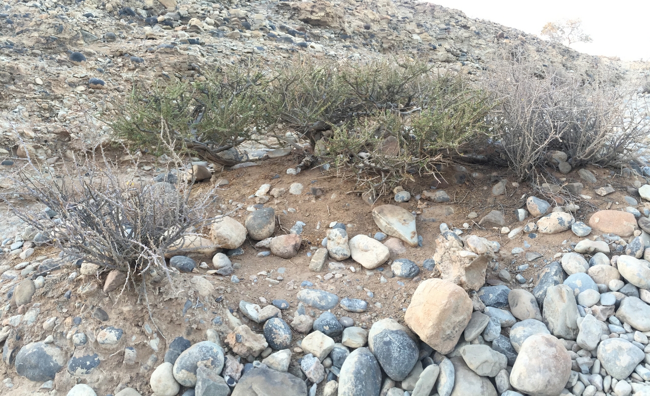 [14273] 2016_06_24_17_11_06_Africa_iPhone_6_IMG_8129_00120.jpg