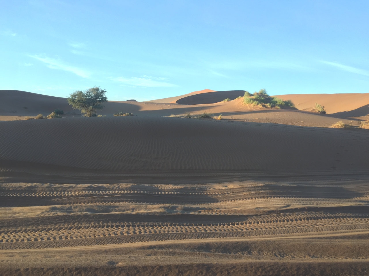 [15462] 2016_06_25_07_15_15_Africa_iPhone_6_IMG_8163_00734.jpg