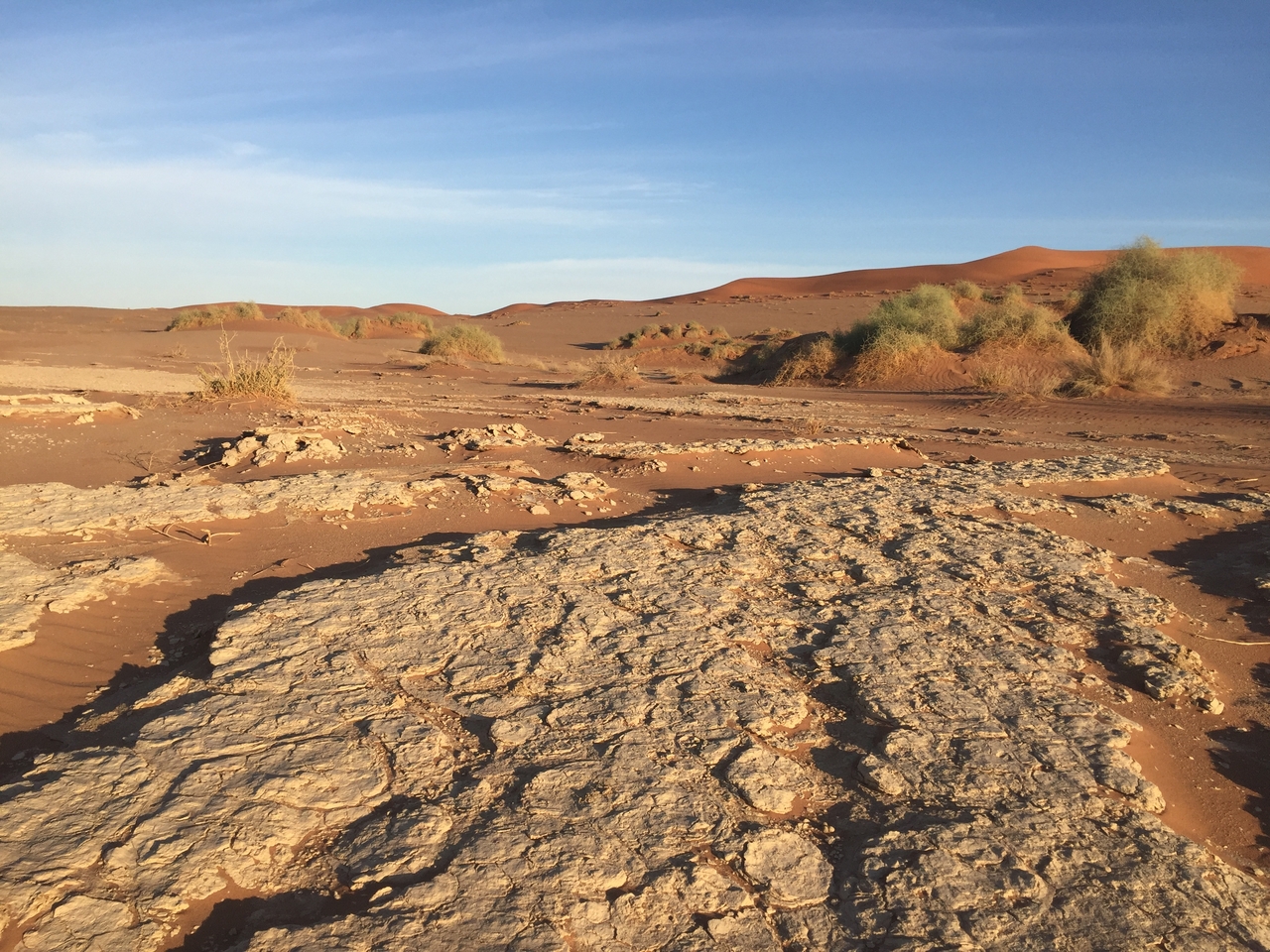 [15530] 2016_06_25_07_31_17_Africa_iPhone_6_IMG_8172_03084.jpg