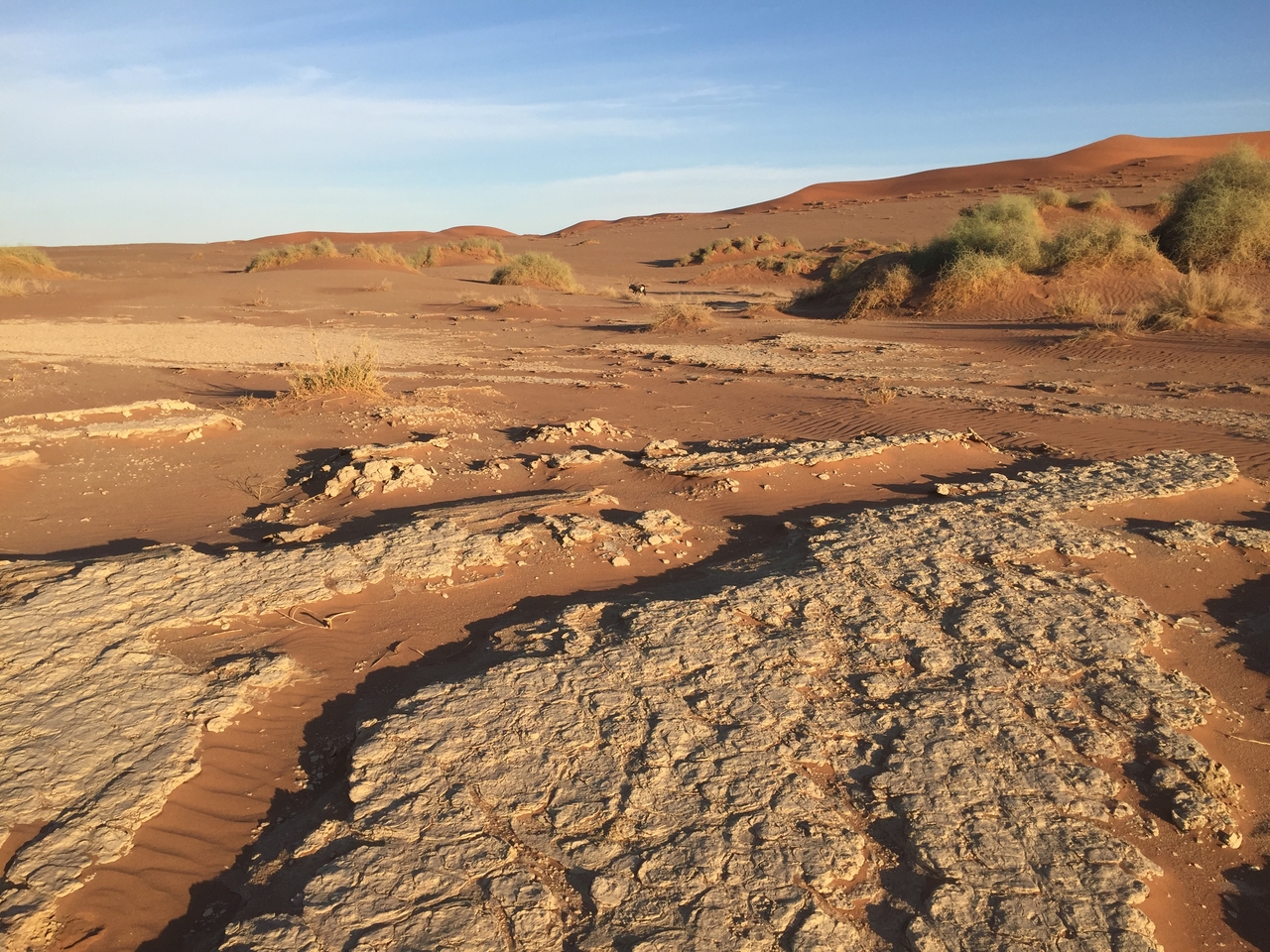 [15533] 2016_06_25_07_31_24_Africa_iPhone_6_IMG_8173_03085.jpg