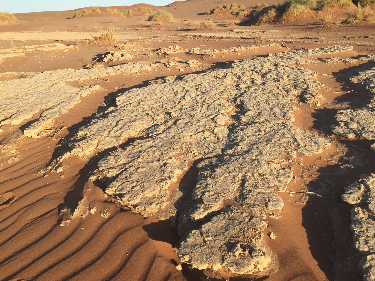 [15535] 2016_06_25_07_31_28_Africa_iPhone_6_IMG_8174_00745.jpg