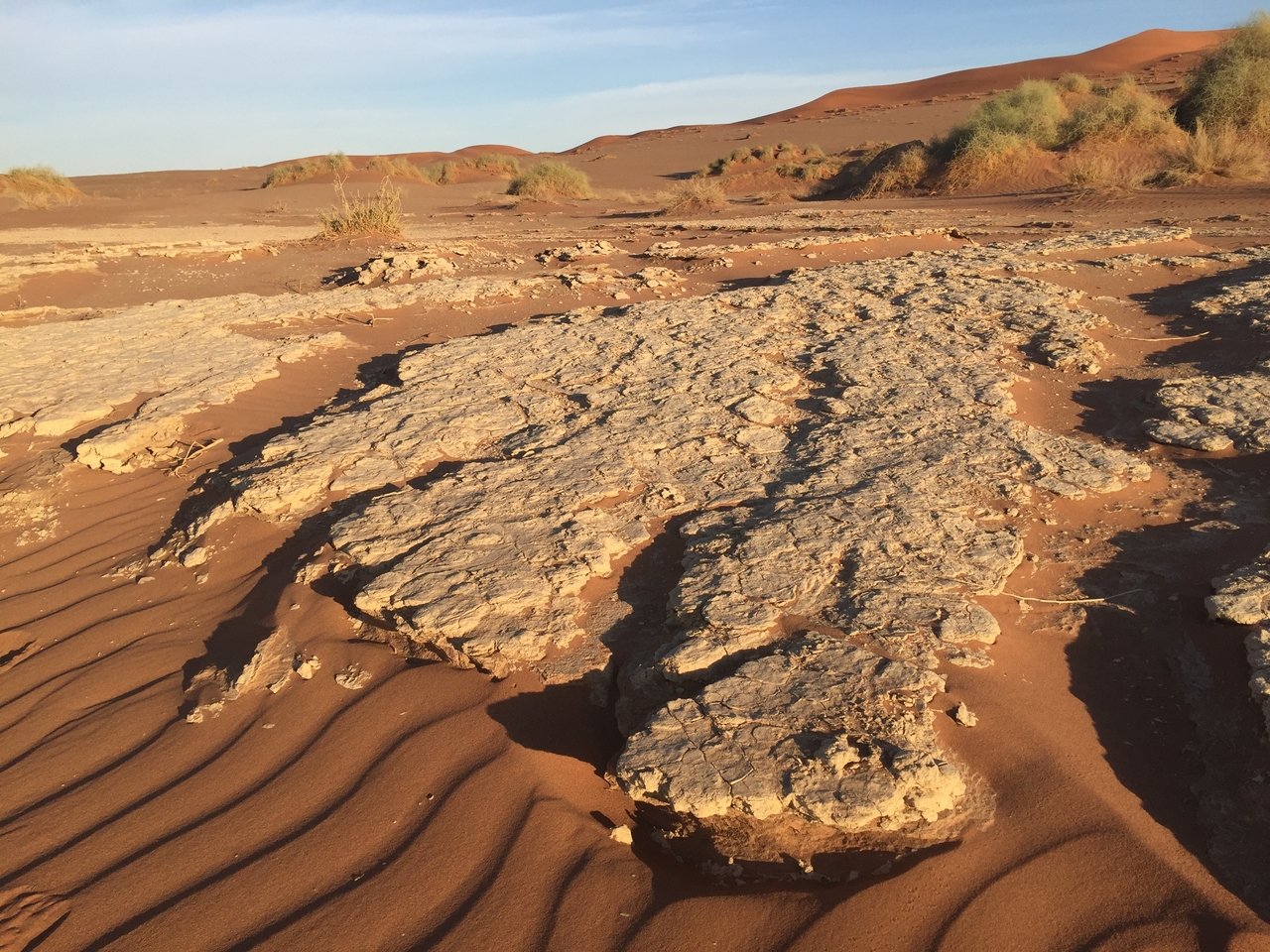 [15537] 2016_06_25_07_31_33_Africa_iPhone_6_IMG_8175_00164.jpg