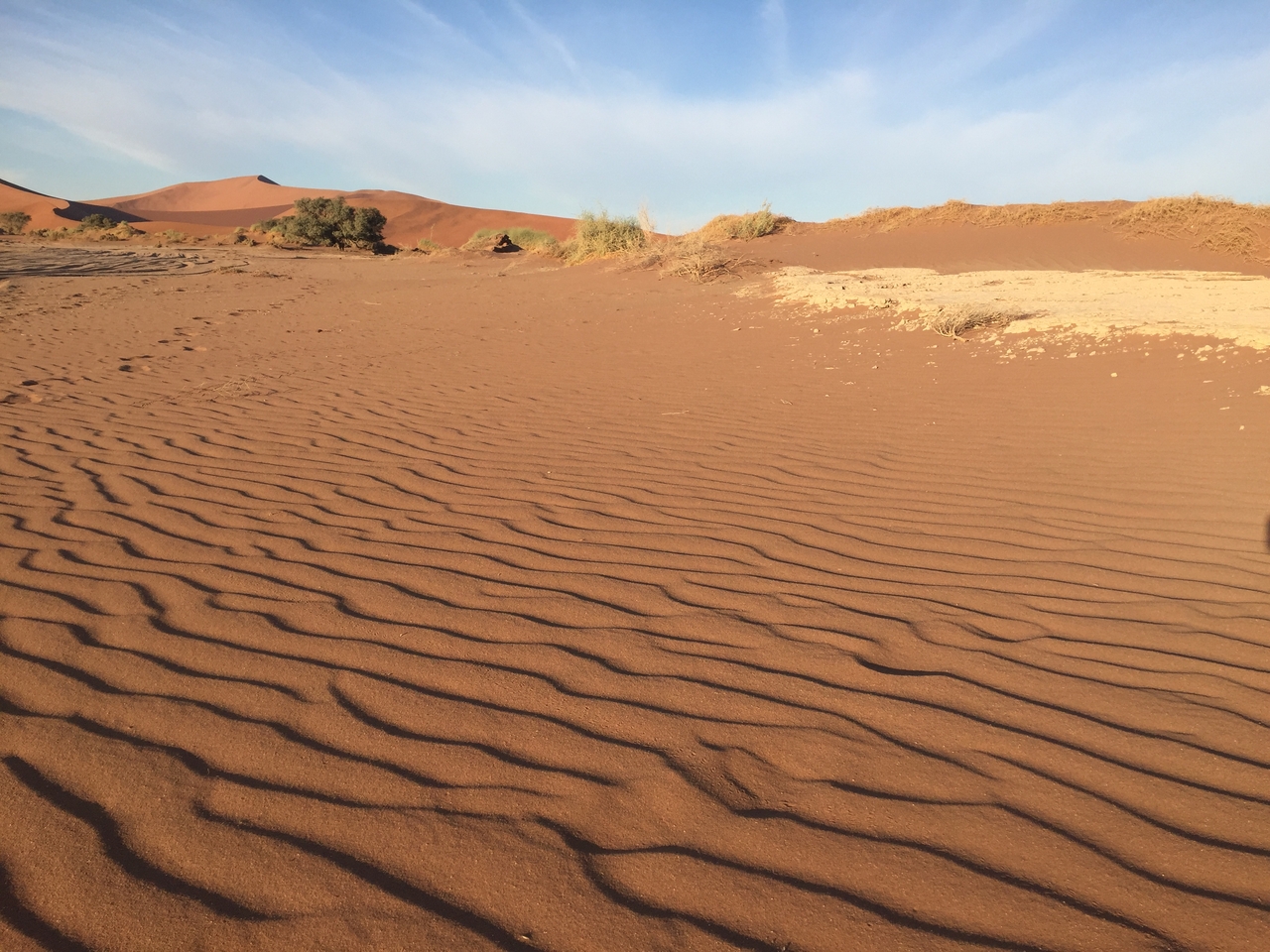 [15576] 2016_06_25_07_37_47_Africa_iPhone_6_IMG_8176_00165.jpg