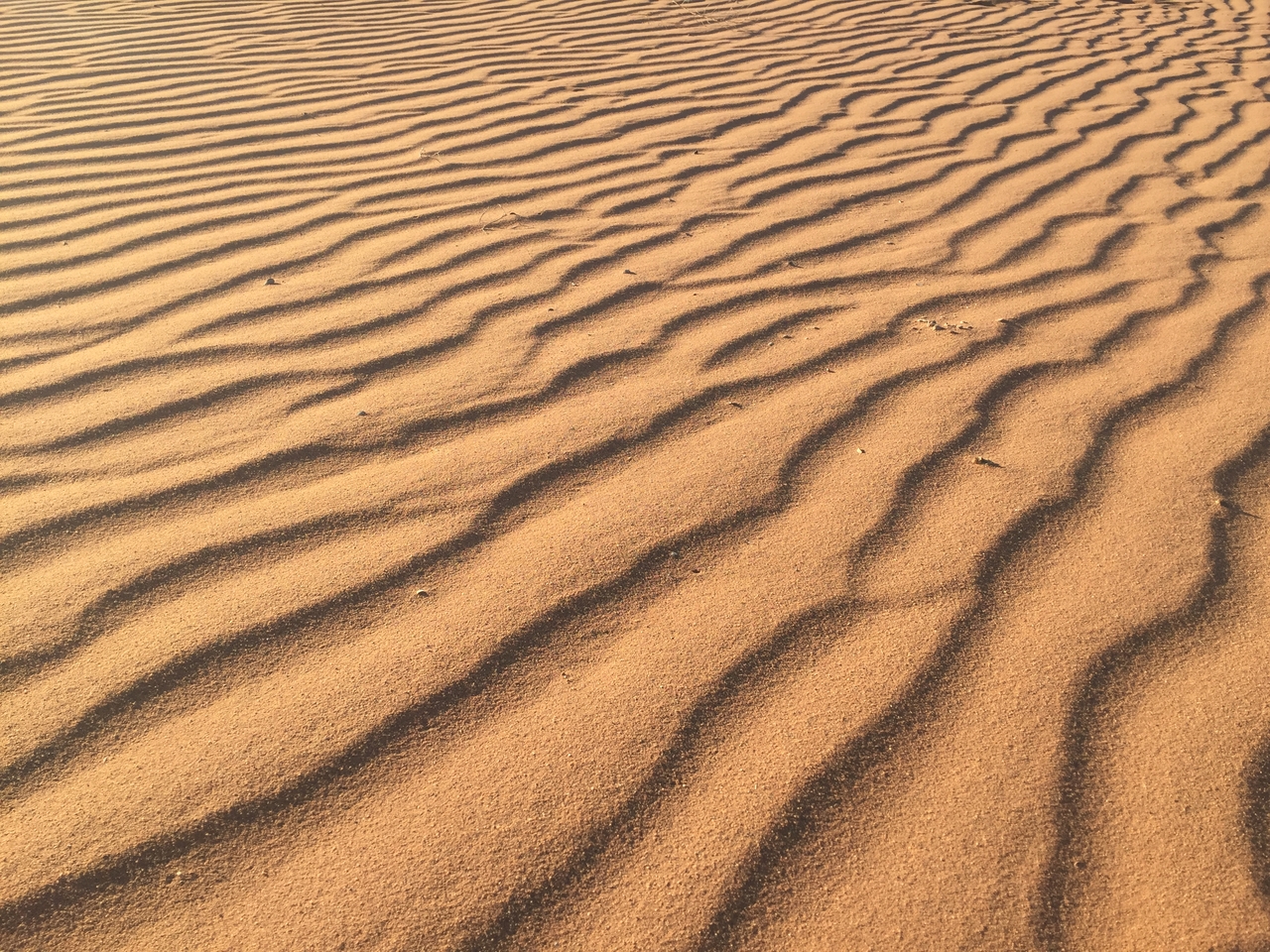 [15580] 2016_06_25_07_37_58_Africa_iPhone_6_IMG_8177_00748.jpg