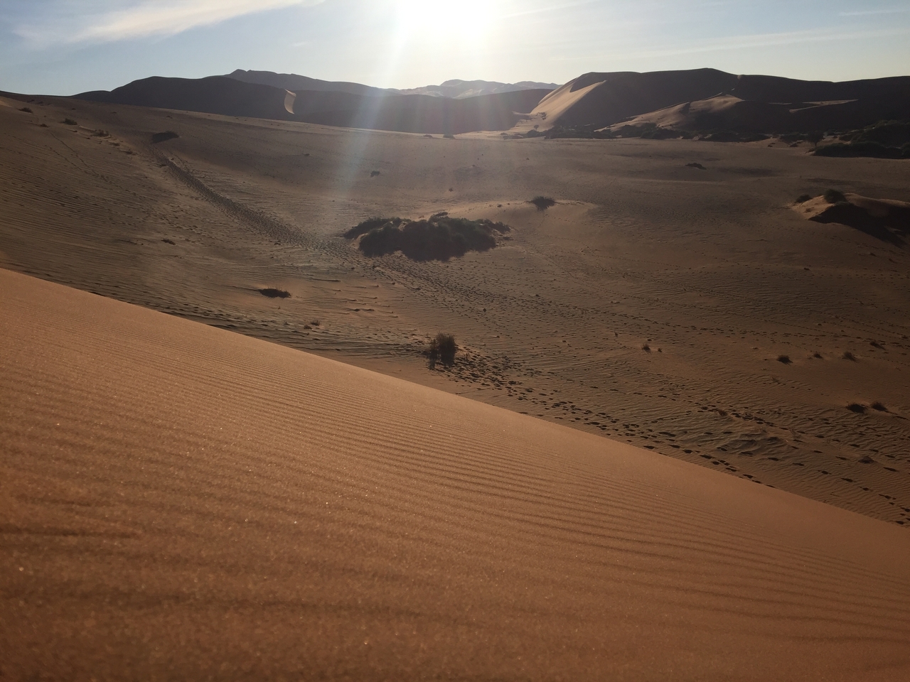 [15599] 2016_06_25_07_53_39_Africa_iPhone_6_IMG_8183_03095.jpg