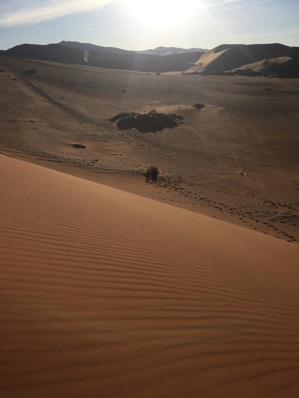 [15601] 2016_06_25_07_53_46_Africa_iPhone_6_IMG_8184_00755.jpg