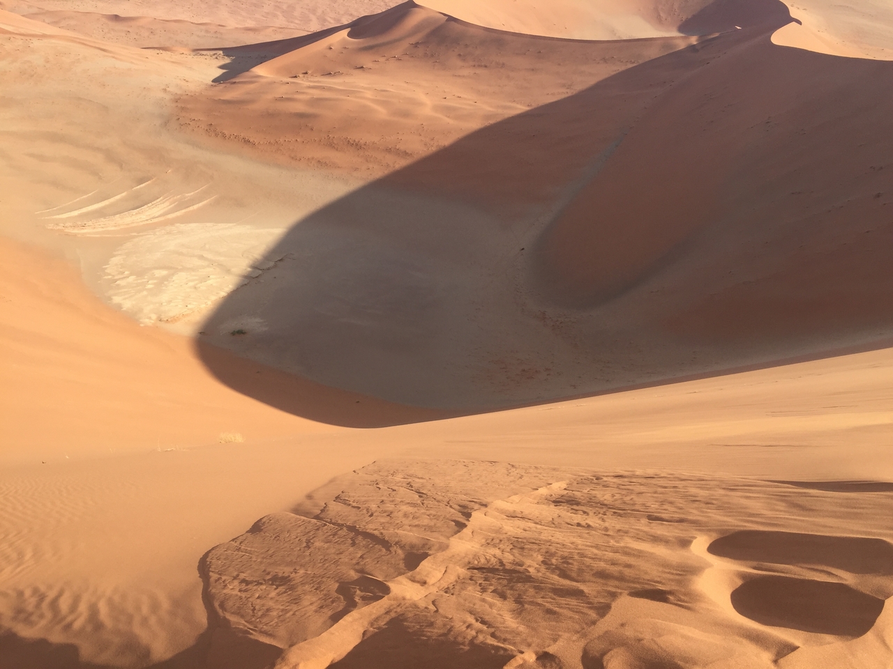 [15698] 2016_06_25_08_27_47_Africa_iPhone_6_IMG_8213_00782.jpg