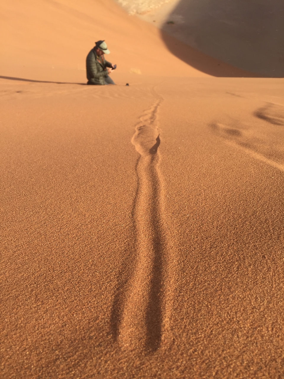 [15708] 2016_06_25_08_31_48_Africa_iPhone_6_IMG_8218_03126.jpg